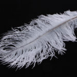 Ostrich Herl - light gray