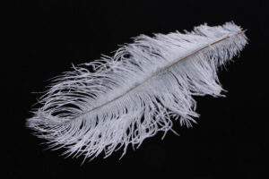 Ostrich Herl-1723