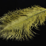 Ostrich Herl - olive