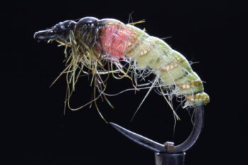 Czech Nymph yellow olive-0
