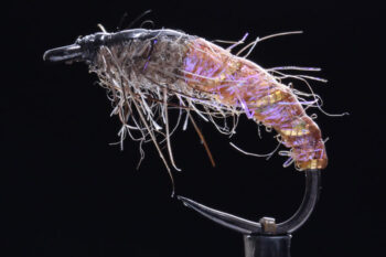Czech Nymph cinnamon-0