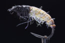 Czech Nymph yellow-0