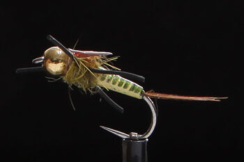 Ripr Green-1800
