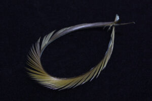 Stripped Goose Biots-1835