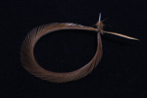 Stripped Goose Biots-1829