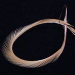 Stripped Goose Biots - tan
