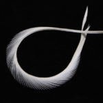 Stripped Goose Biots - white