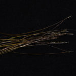 Hand Stripped Peacock Quill - olive