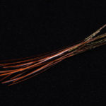 Hand Stripped Peacock Quill - orange
