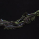 Frostip Rabbit Strips - black/chartreuse