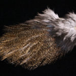 Coq De Leon Tailing Pack - dark pardo