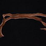 Micro Mink Zonker Strips - natural brown