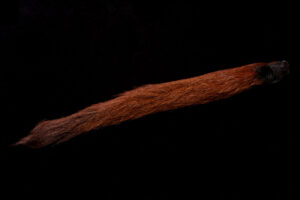 Calf Tail-4404