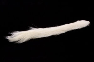 Calf Tail-4407