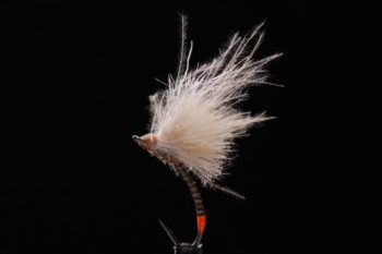 CDC Paraloop brown-0