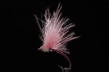 CDC Paraloop pink-0