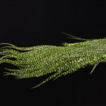 Half Grizzly Saddle - chartreuse