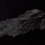 India Hen Back - black