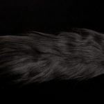 H2O Polar Fibre - black