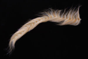 H2O Polar Fibre Streamer Brush 3''-2668
