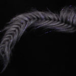 H2O Polar Fibre Streamer Brush - grey + black