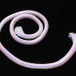 Flashabou Minnow Body - pearl