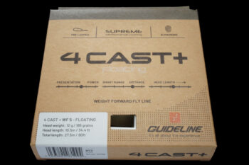 Guideline 4 Cast+