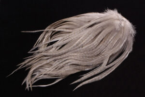 Whiting Bugger Pack -3248