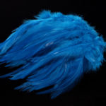 Strung Chinese Saddle Hackle 5-7" - kingfisher blue