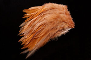 Strung Chinese Saddle Hackle 5-7"-3231