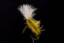 Mauri's Emerger olive-0