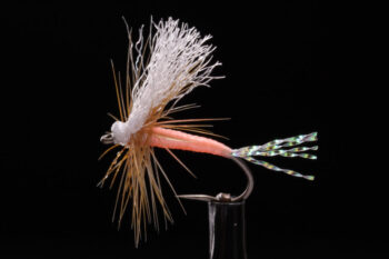 Snow Flake Dun shrimp pink-0