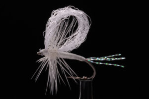 Snow Flake Loop Wing-0