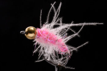 CDC Pinky-0