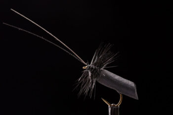 Foam Goddard Caddis-0