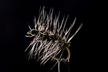 Griffith Gnat-0