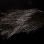 Whiting Rooster Spey Hackle Cape bronze - black