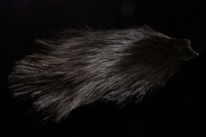Whiting Rooster Spey Hackle Cape bronze-3443