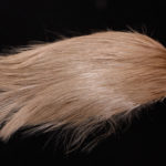 Whiting Rooster Spey Hackle Cape bronze - tan