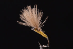AB CDC Emerger green-0