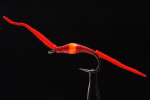 AB San Disi Worm-0