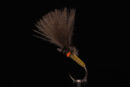 AB Hotspot CDC Emerger olive-0