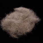 Swissline Hase Dub - natural