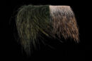 Swissline Wildschwein-0