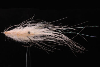 Spey Shrimp salmon