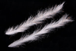 H2O Translucy Fly Brush 3"-4472