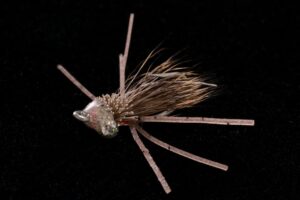 Bonefish Bitter tan-0