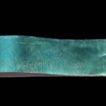 Chocklett's Live Gummy Skin - peacock