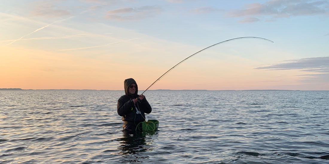 Fliegenfischen auf Hechte in Rügen