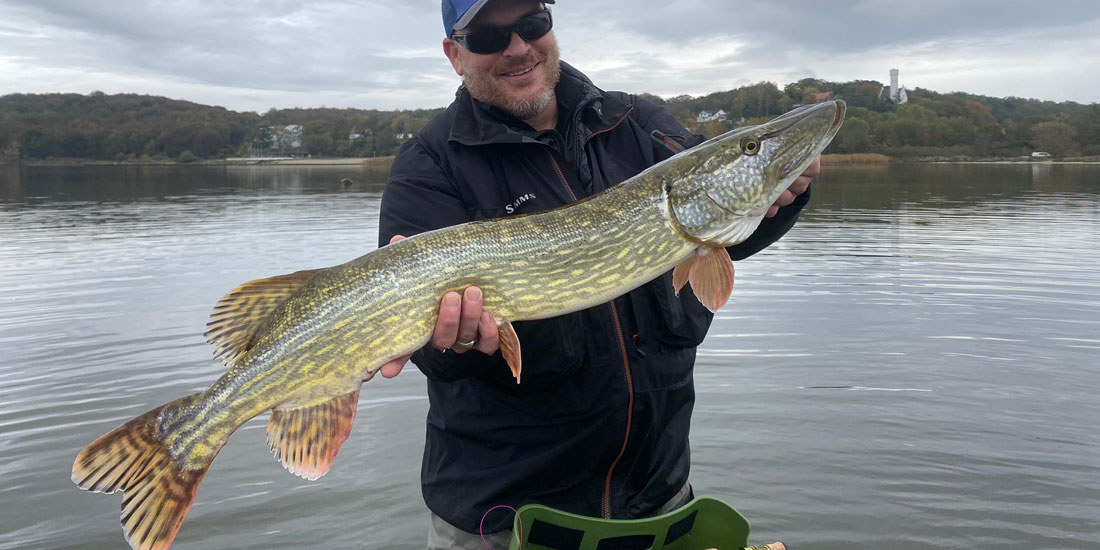 Fliegenfischen auf Hechte in Rügen